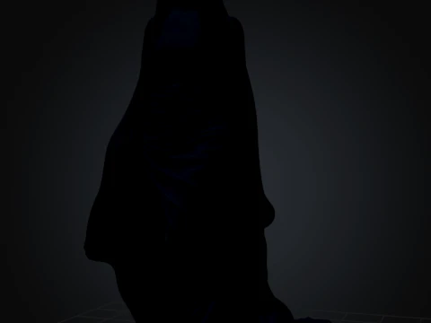 La chorona - Veil 3D Model