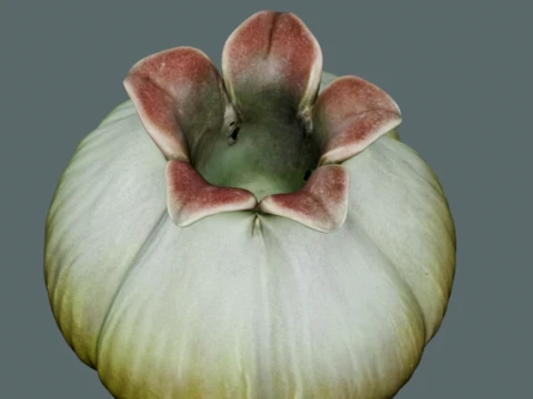 Halloween Plant 3D Model