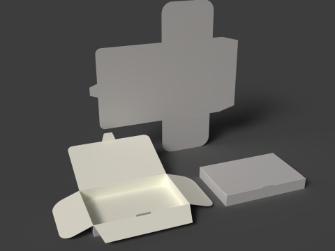 带盖板的纸板文件夹 打开封闭且拆卸的包装 3D 模型