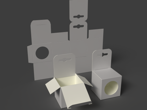 Картонна коробка з круглим віконцем і євровішаком Відкрита закрита та розібрана упаковка 3D Модель