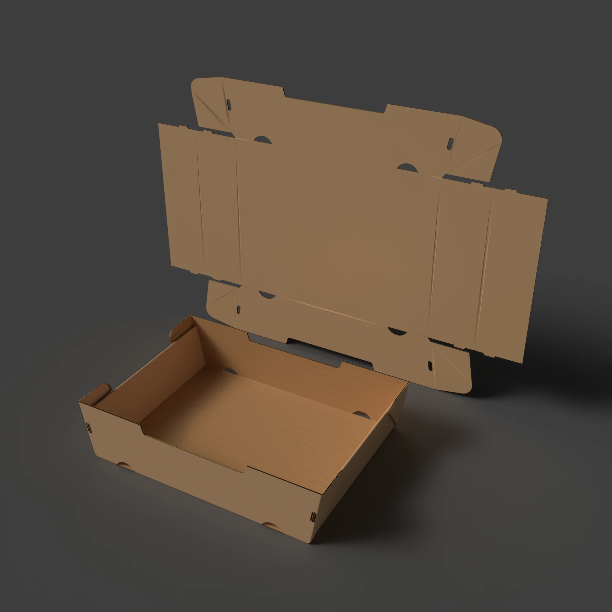 Conical corrugated cardboard tray Assembled and disassembled packaging 3D Model .c4d .max .obj .3ds .fbx .stl .blend 