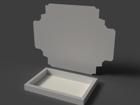 Картонний лоток прямокутної форми з подвійними бортами Упаковка в зборі та розборці 3D Модель