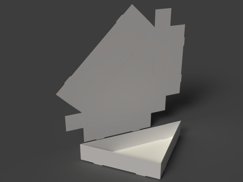 뚜껑이 없는 자체 조립식 삼각형 판지 트레이 조립 및 분해 포장 3D 모델