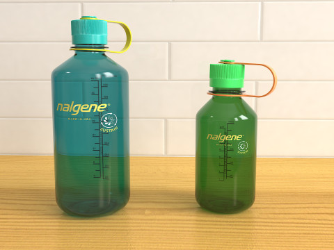 Упаковка пляшки Nalgene з вузьким горлом 3D Модель