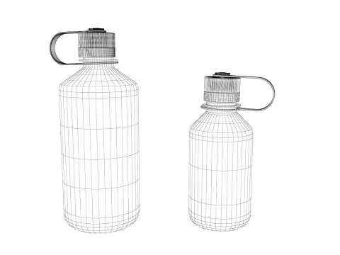 Nalgene narrow mouth Bottle Pack 3D Model