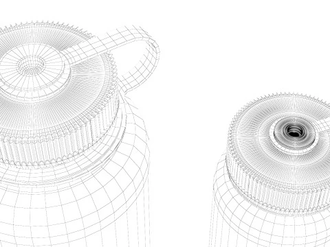 Nalgene Bottle Set Pack 3D Model