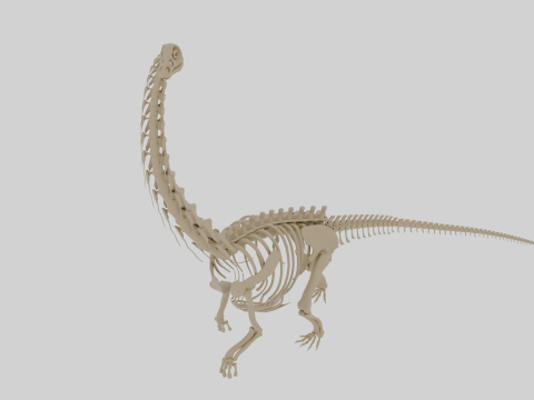 Скелет аргентинозавра 3D модель ископаемых для печати 3D Модель