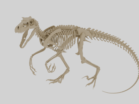 Скелет атроцираптора - 3D-модель кістки для друку 3D Модель