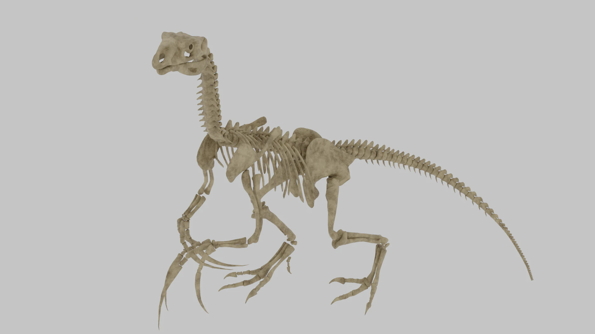 Therizinosaurus Rigged Skeleton Exotic Theropod Anatomy 3D Model .c4d .max .obj .3ds .fbx .stl .blend