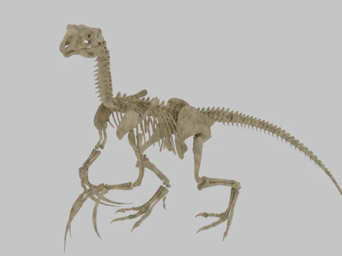 Therizinosaurus Arma İskeleti Egzotik Theropod Anatomisi 3D Model