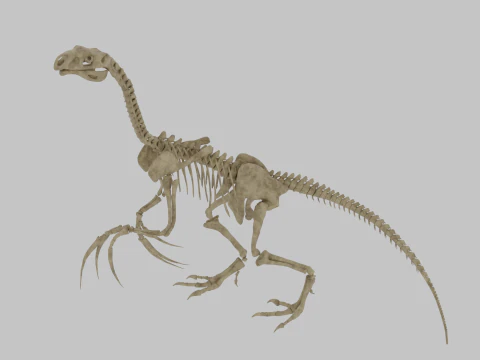 Therizinosaurus Rigged Skeleton Exotic Theropod Anatomy 3D Model