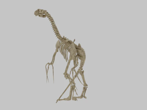 Therizinosaurus Rigged Skeleton Exotic Theropod Anatomy 3D Model