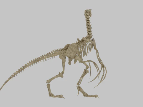 Therizinosaurus Rigged Skeleton Exotic Theropod Anatomy 3D Model