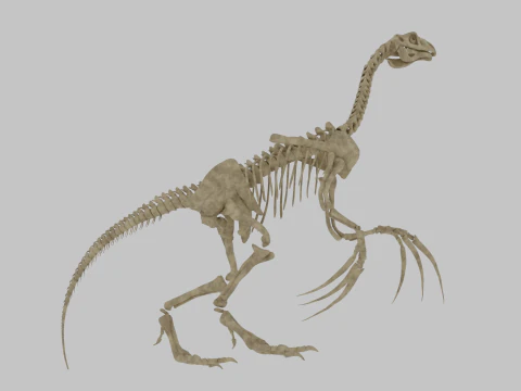 Therizinosaurus Rigged Skeleton Exotic Theropod Anatomy 3D Model