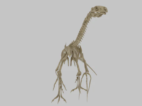 Therizinosaurus Rigged Skeleton Exotic Theropod Anatomy 3D Model