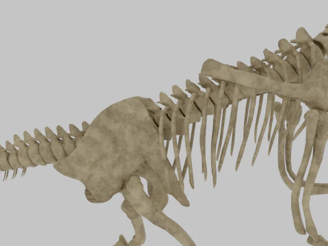 Therizinosaurus Rigged Skeleton Exotic Theropod Anatomy 3D Model