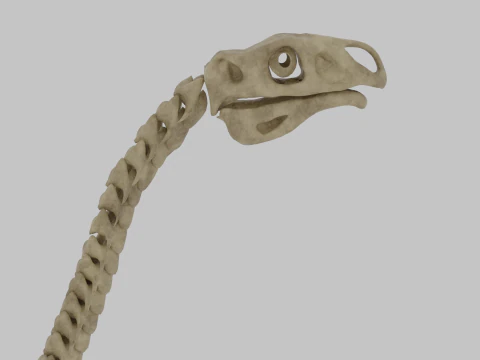 Therizinosaurus Rigged Skeleton Exotic Theropod Anatomy 3D Model
