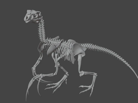 Therizinosaurus Rigged Skeleton Exotic Theropod Anatomy 3D Model