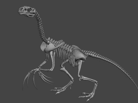 Therizinosaurus Rigged Skeleton Exotic Theropod Anatomy 3D Model