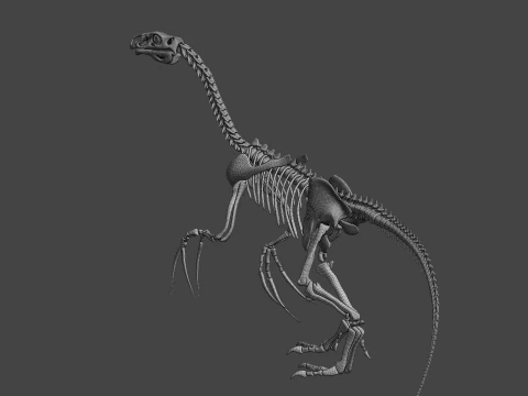 Therizinosaurus Rigged Skeleton Exotic Theropod Anatomy 3D Model