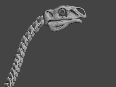 Therizinosaurus Rigged Skeleton Exotic Theropod Anatomy 3D Model