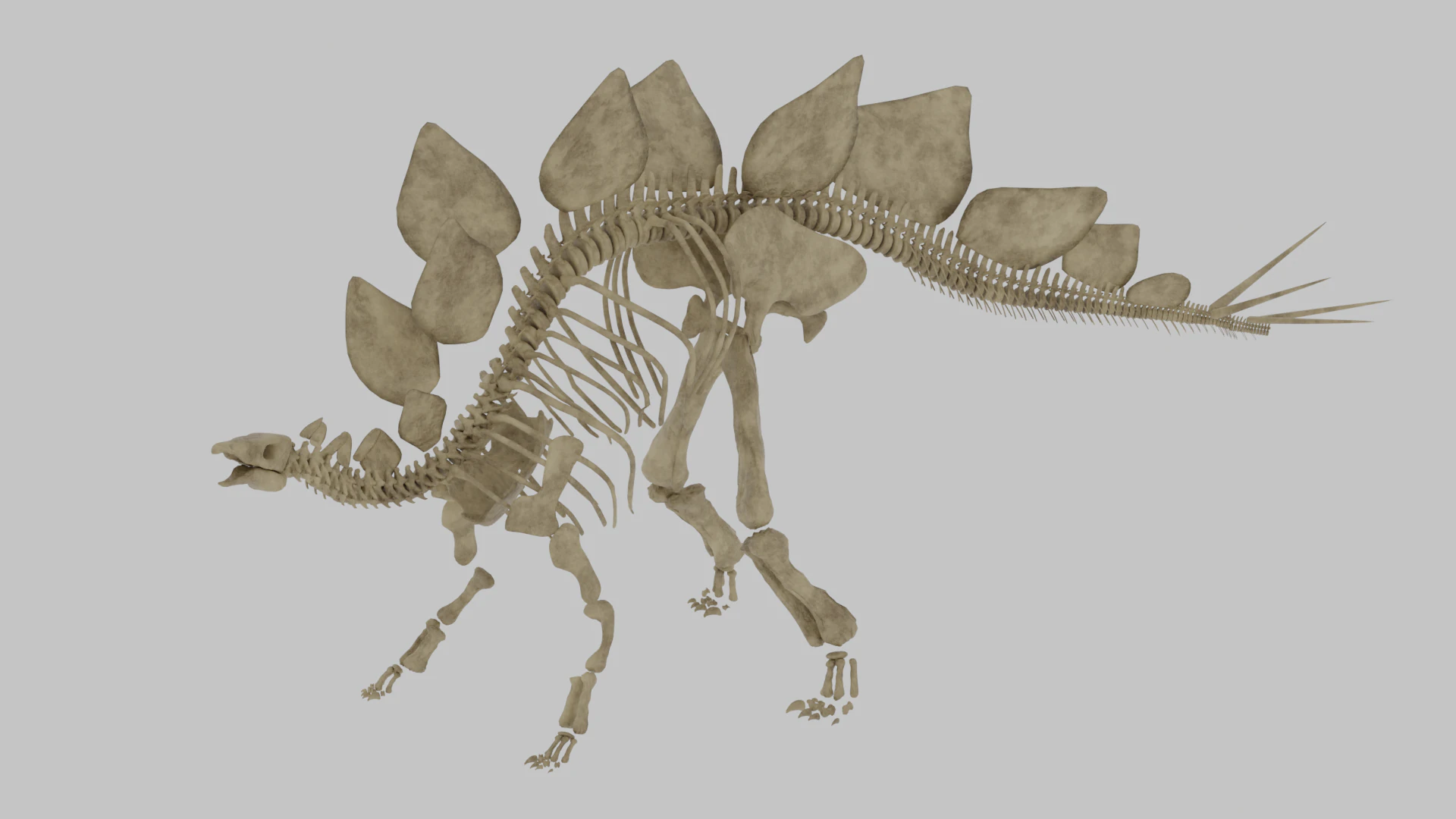 Stegosaurus Rigged Skeleton Detailed Dinosaur Anatomy 3D Model .c4d .max .obj .3ds .fbx .stl .blend 
