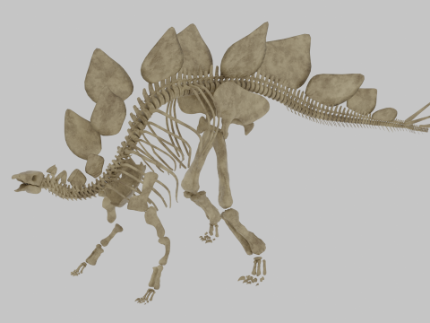 स्टेगोसॉरस रिग्ड स्केलेटन विस्तृत डायनासोर एनाटॉमी 3D मॉडल