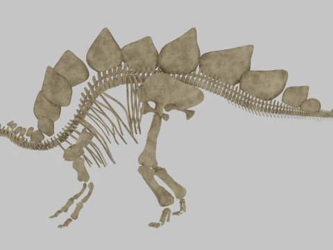 Stegosaurus Rigged Skeleton Detailed Dinosaur Anatomy 3D Model