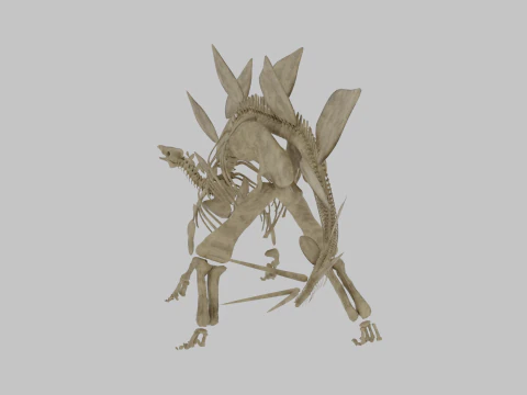 Stegosaurus Rigged Skeleton Detailed Dinosaur Anatomy 3D Model