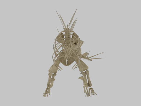 Stegosaurus Rigged Skeleton Detailed Dinosaur Anatomy 3D Model