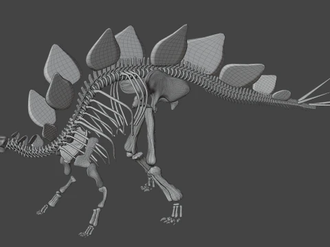 Stegosaurus Rigged Skeleton Detailed Dinosaur Anatomy 3D Model