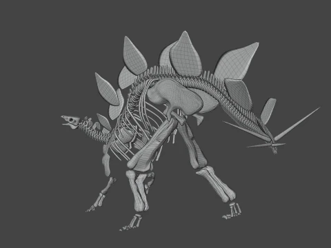 Stegosaurus Rigged Skeleton Detailed Dinosaur Anatomy 3D Model