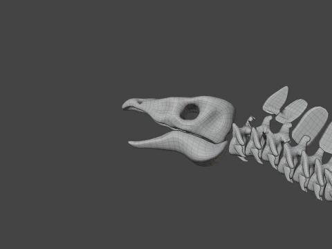 Stegosaurus Rigged Skeleton Detailed Dinosaur Anatomy 3D Model
