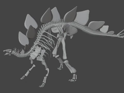 Stegosaurus Rigged Skeleton Detailed Dinosaur Anatomy 3D Model