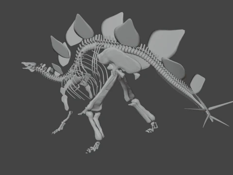 Stegosaurus Rigged Skeleton Detailed Dinosaur Anatomy 3D Model