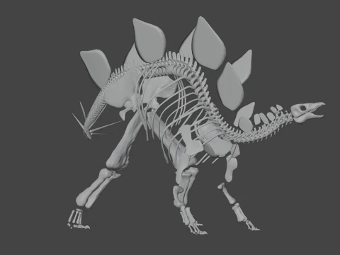 Stegosaurus Rigged Skeleton Detailed Dinosaur Anatomy 3D Model