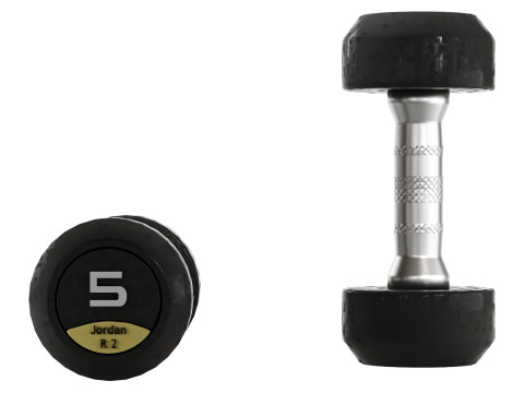 Haltères Fitness R2 Modèle 3D