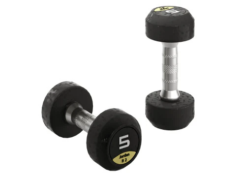 Fitness R2 Dumbbells 3D Model