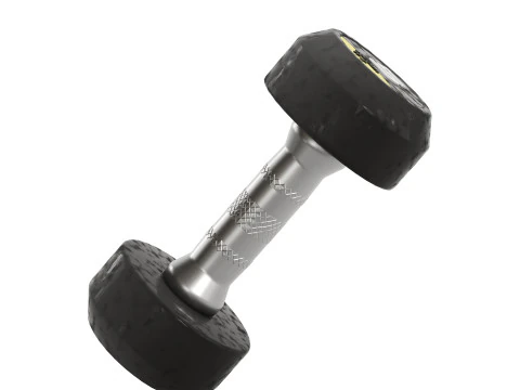 Fitness R2 Dumbbells 3D Model