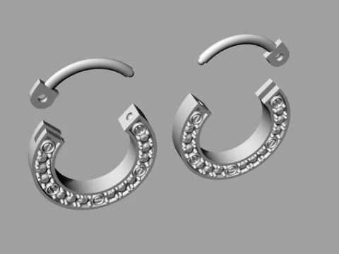 Brand Earrings Printable Model Jewelry Gold Luxury 3D Print Model