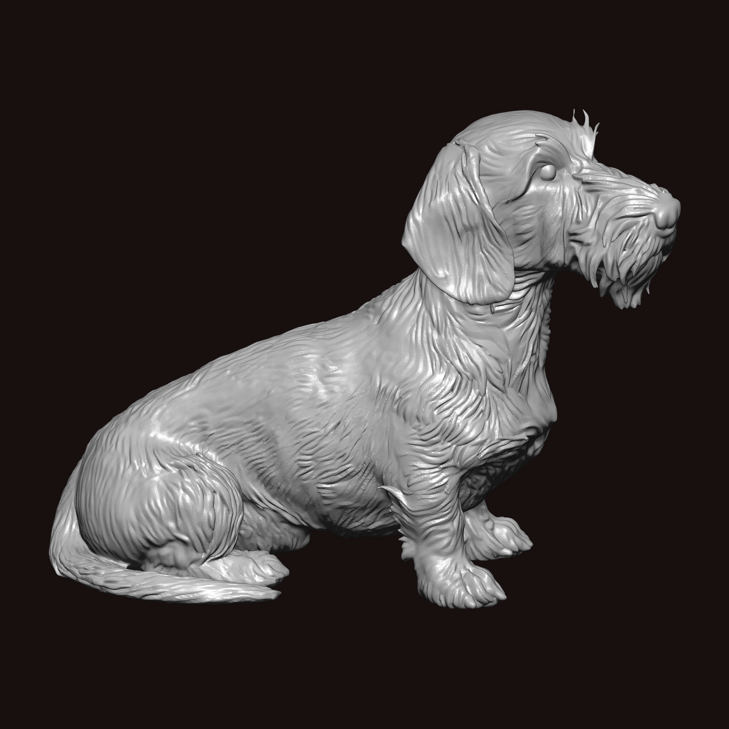 Wire Haired Dachshund Seating Pose 3D Model .c4d .max .obj .3ds .fbx .stl .blend