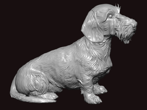 钢丝毛腊肠犬坐姿 3D 模型