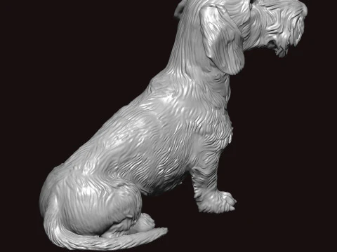 Wire Haired Dachshund Seating Pose 3D Model