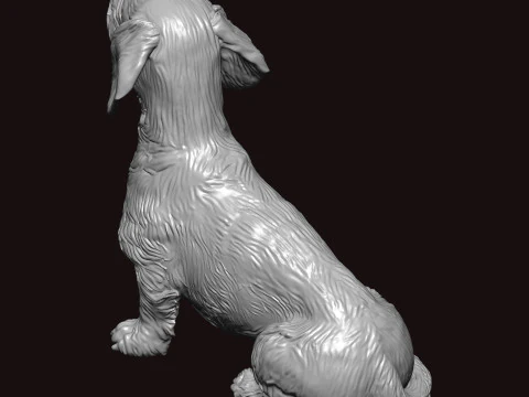 Wire Haired Dachshund Seating Pose 3D Model
