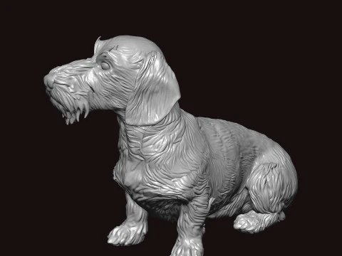 Wire Haired Dachshund Seating Pose 3D Model