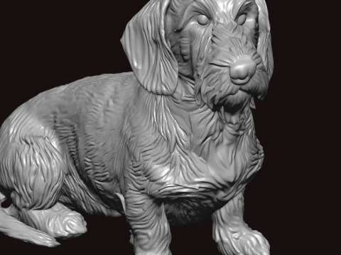 Wire Haired Dachshund Seating Pose 3D Model