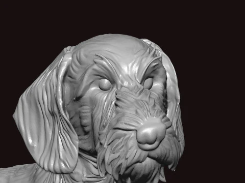 Wire Haired Dachshund Seating Pose 3D Model
