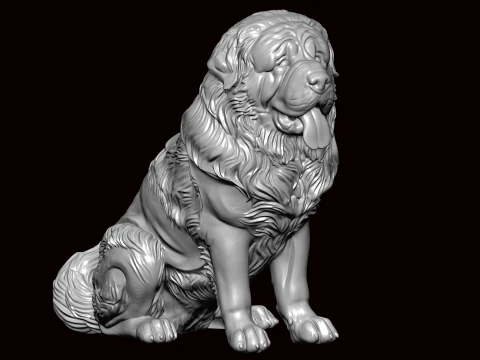 Поза сидящей собаки ньюфаундленда 3D Модель