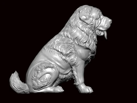Newfoundland Dog Seating Pose 3D Model