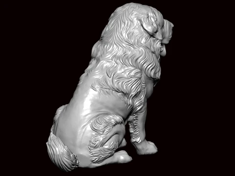 Newfoundland Dog Seating Pose 3D Model